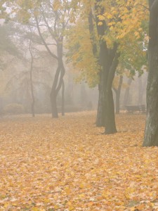 Донецк. Осень