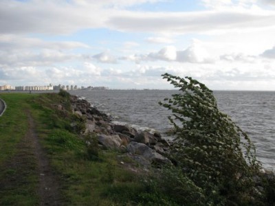 Финский залив. Ветер